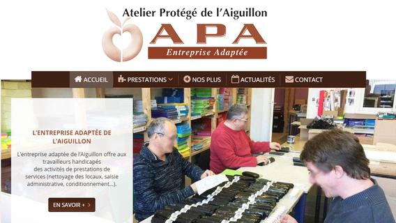 Site Internet de l'APA entreprise adaptée